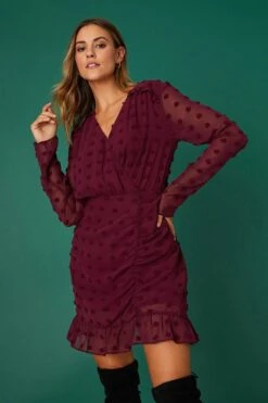 Dorothy Perkins Berry Chiffon Dobby Ruched Wrap Mini Dress