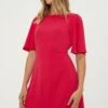 Dorothy Perkins Flutter Sleeve Mini Dress