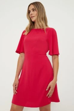Dorothy Perkins Flutter Sleeve Mini Dress