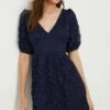 Dorothy Perkins Lace Mini Dress