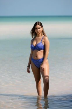 Freya Garden Disco Uw Plunge Bikini Top -Perkinsdory Store xdd07284 bluebell xl 4