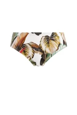 Fantasie Kinabalu Mid Rise Bikini Brief -Perkinsdory Store xdd07320 green xl 3